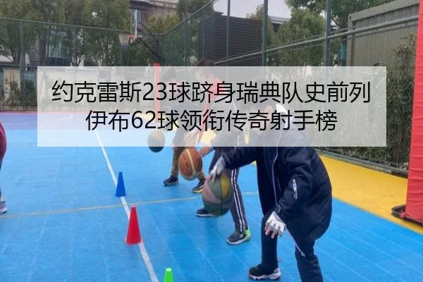 约克雷斯23球跻身瑞典队史前列 伊布62球领衔传奇射手榜（bogou）